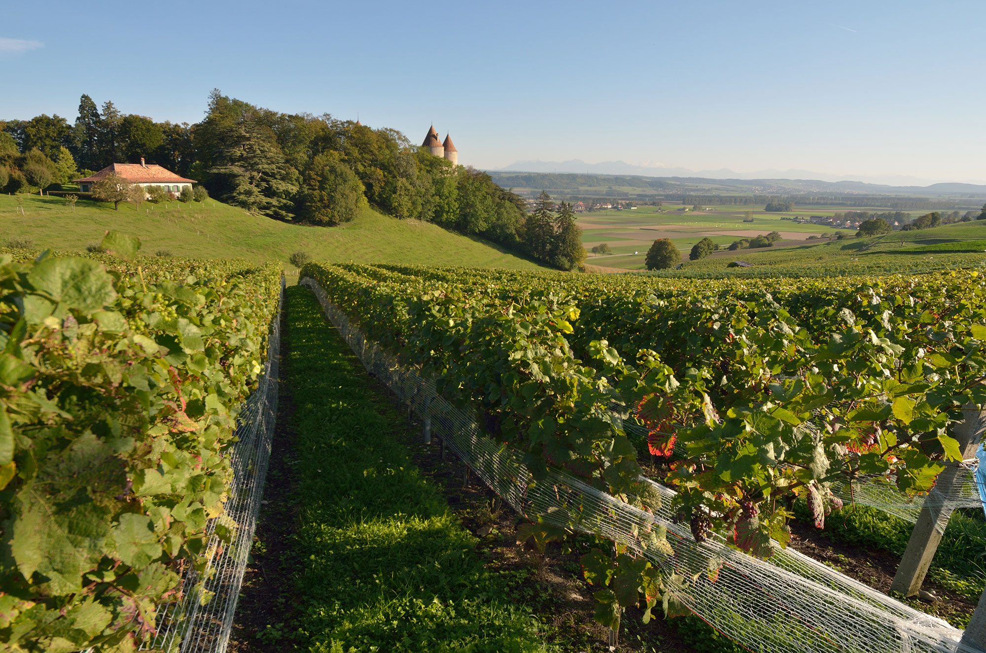 Domaine des Dumières